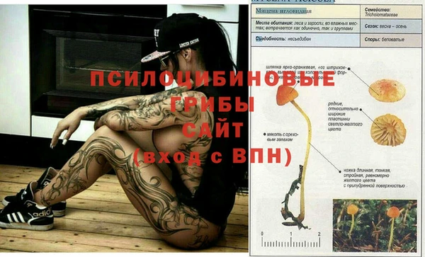 мет Алексеевка