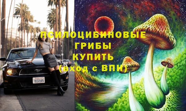 мдпв Алзамай