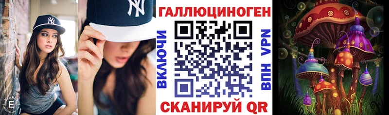 площадка какой сайт  Динская  Галлюциногенные грибы Psilocybine cubensis 